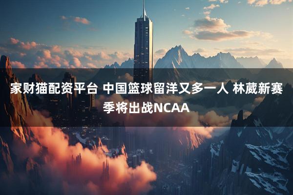 家财猫配资平台 中国篮球留洋又多一人 林葳新赛季将出战NCAA