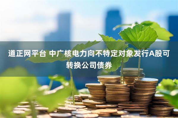 道正网平台 中广核电力向不特定对象发行A股可转换公司债券