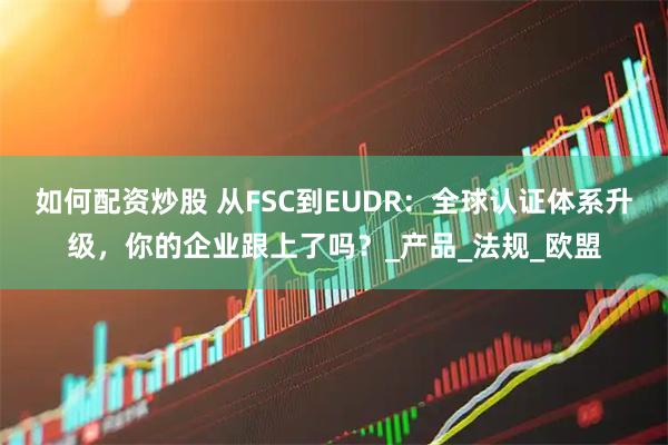 如何配资炒股 从FSC到EUDR：全球认证体系升级，你的企业跟上了吗？_产品_法规_欧盟