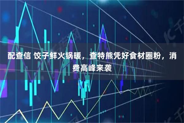 配查信 饺子鲜火锅暖，查特熊凭好食材圈粉，消费高峰来袭